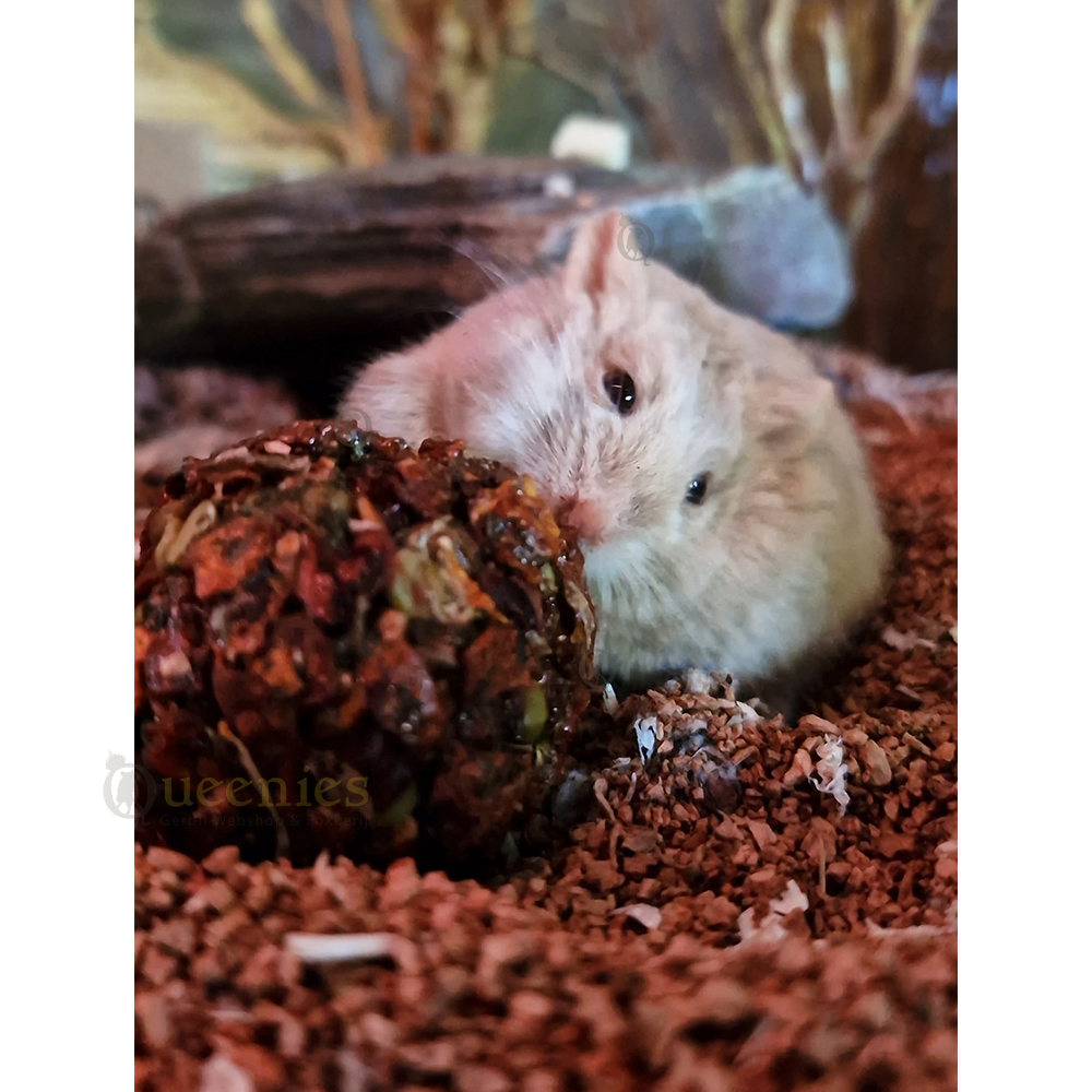 Groente balletjes Peterselie & pompoen 100 gr