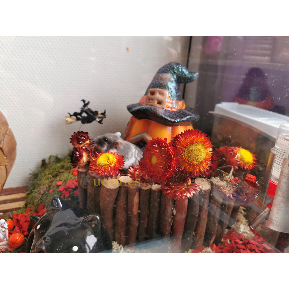 Hamster in Halloweenscape