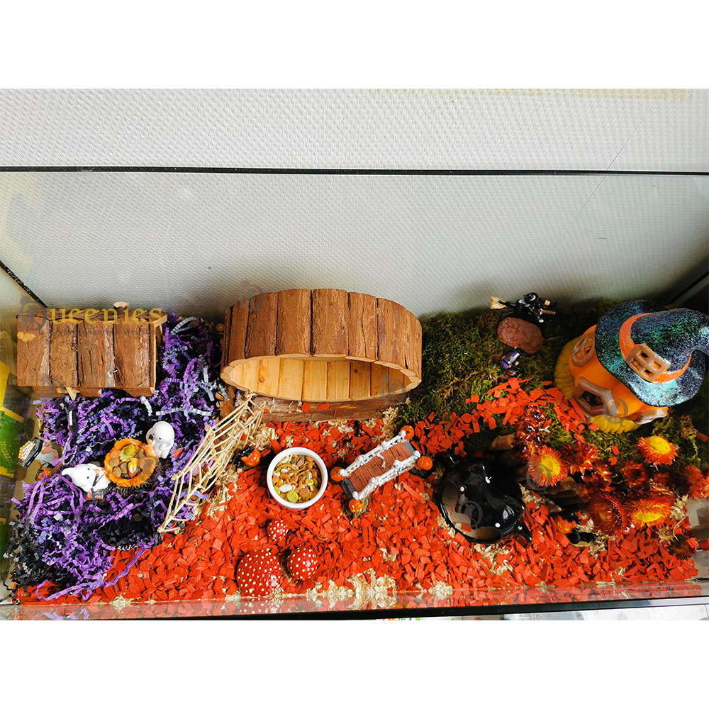 HalloweenScape met decoratie producten