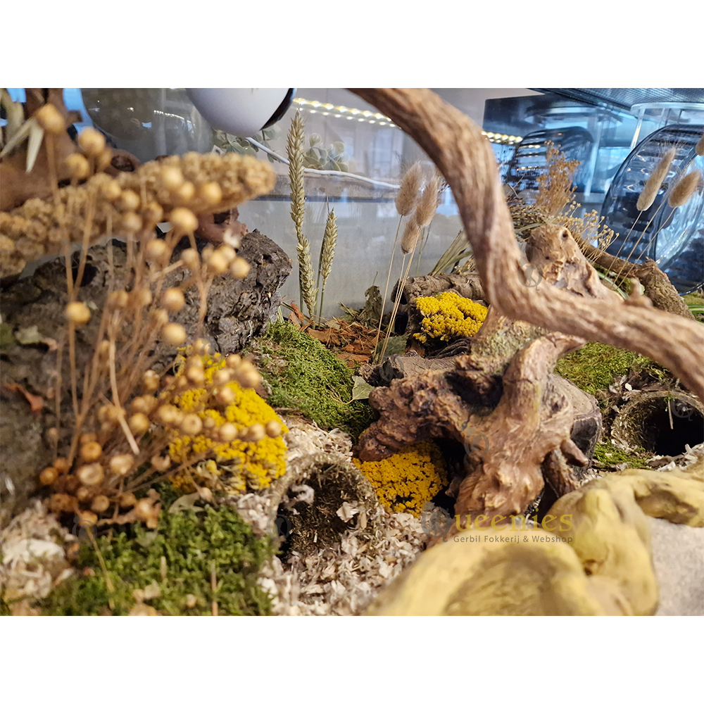 Vlas bos van Lijnzaad 100 gram