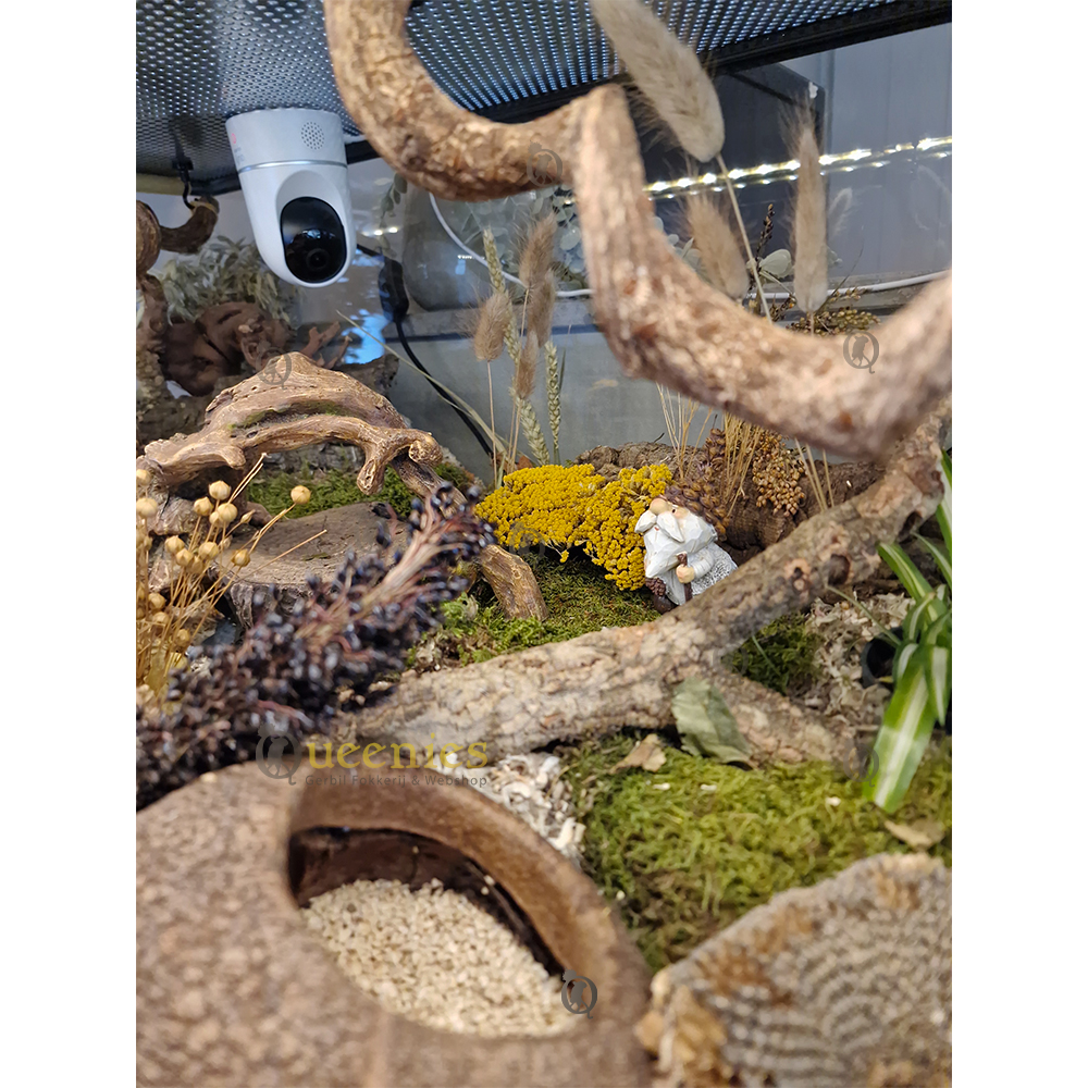 Hangtak 36 cm met bevestiging voor deksel 