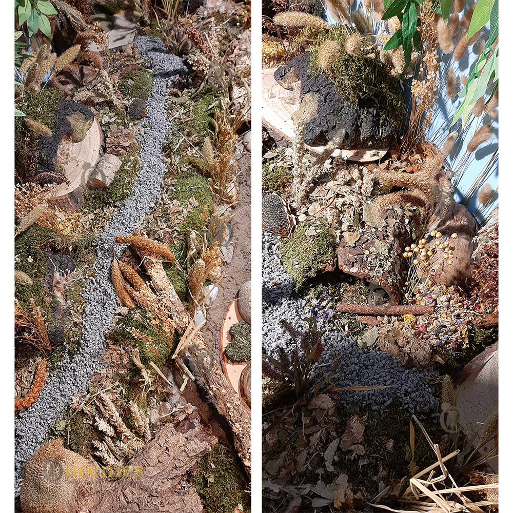 Zwarte Dari Kolf - Gierst snack voor Knaagdier & Konijn