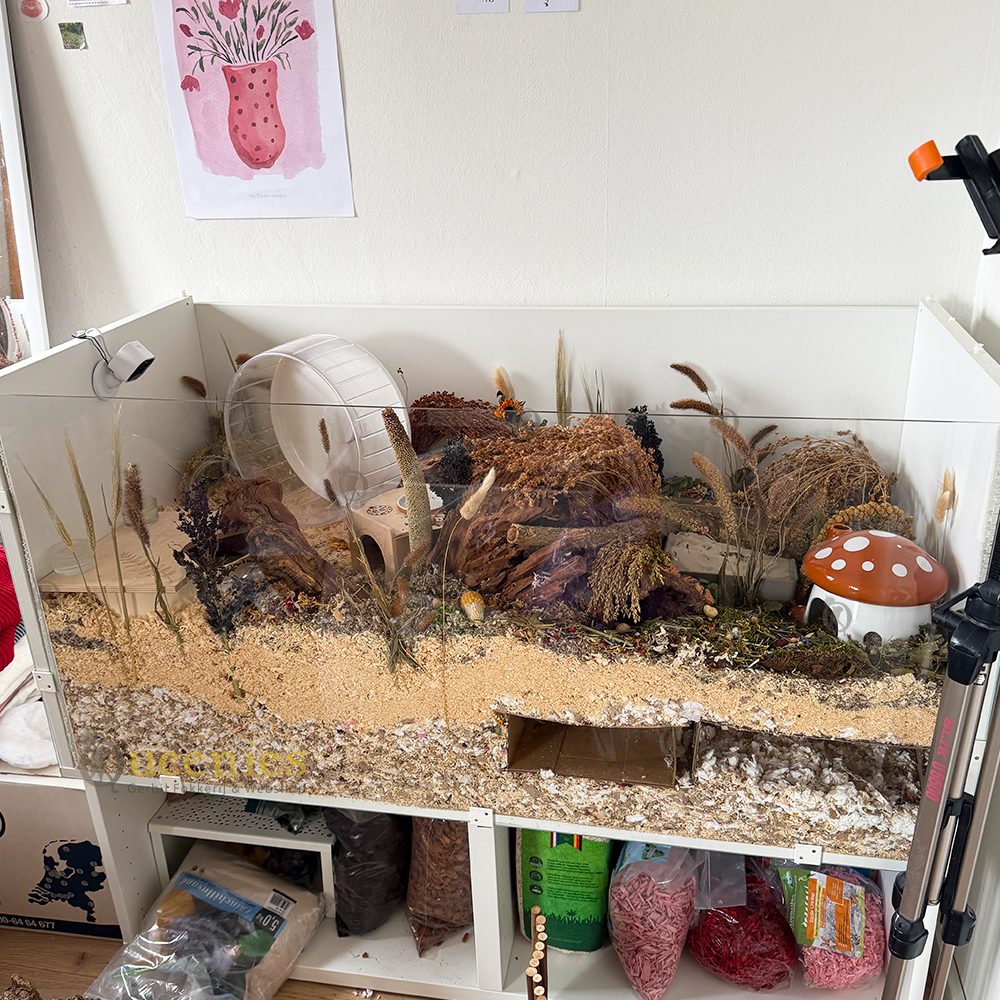 Bodembedekking voor Hamsters