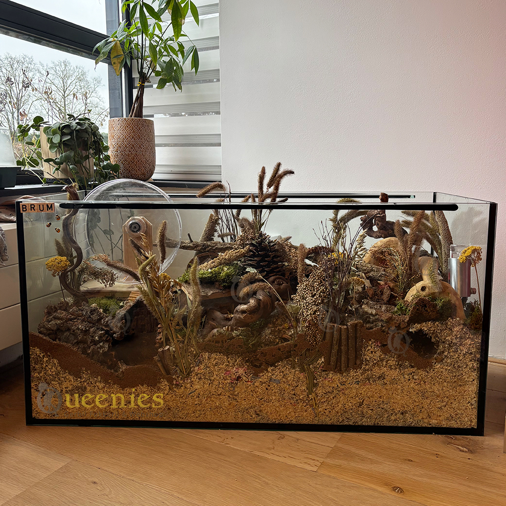 Hamster terrarium met vast voorschot en schuifruit van bodem tot deksel