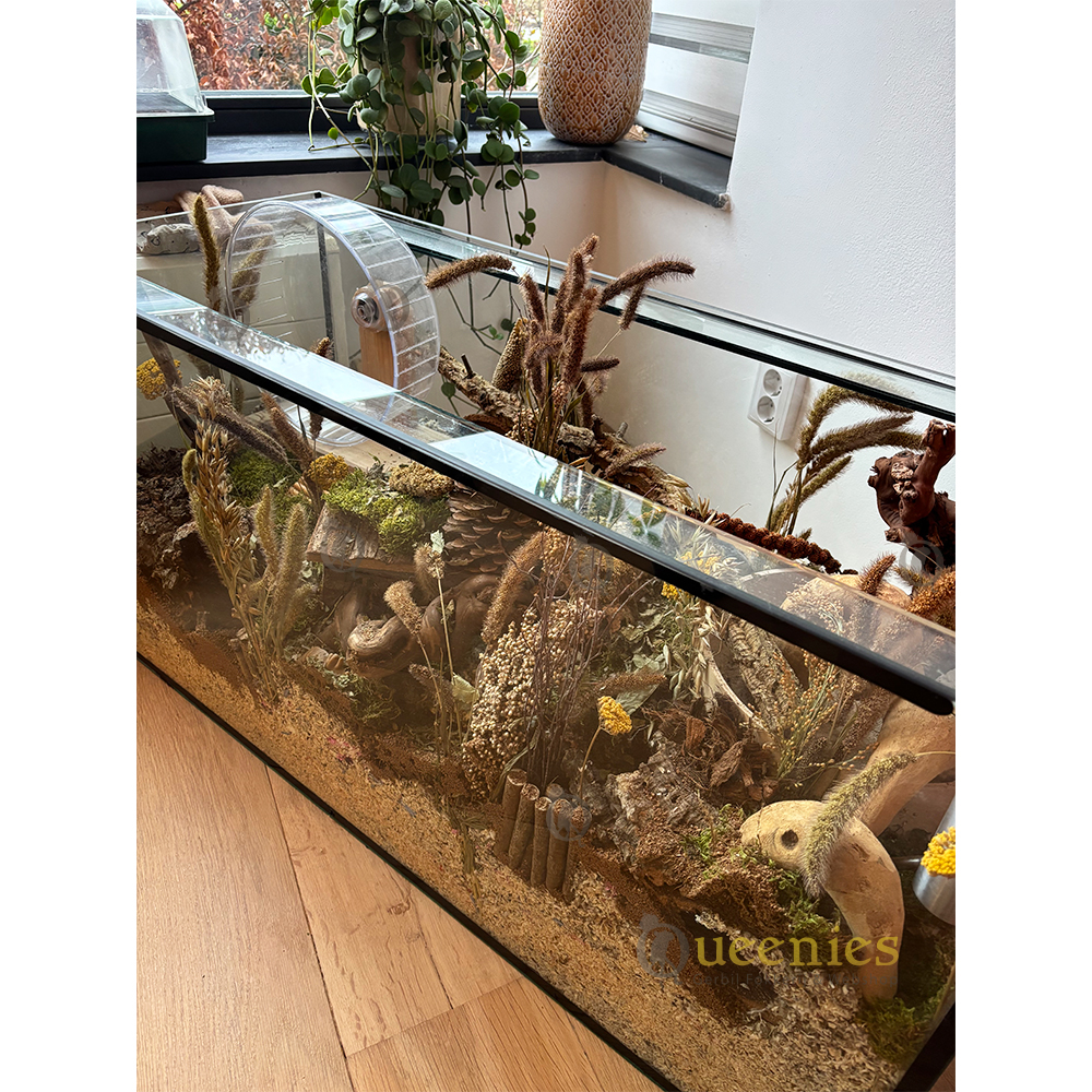 Parelgierst 200 gram - Natuurlijke voedingssupplement voor Knaagdieren & Parkieten