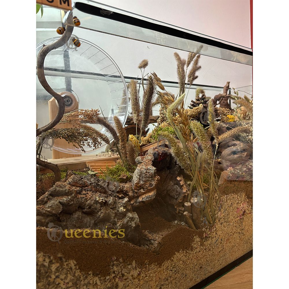 Gedroogd terrarium mos 200 gram