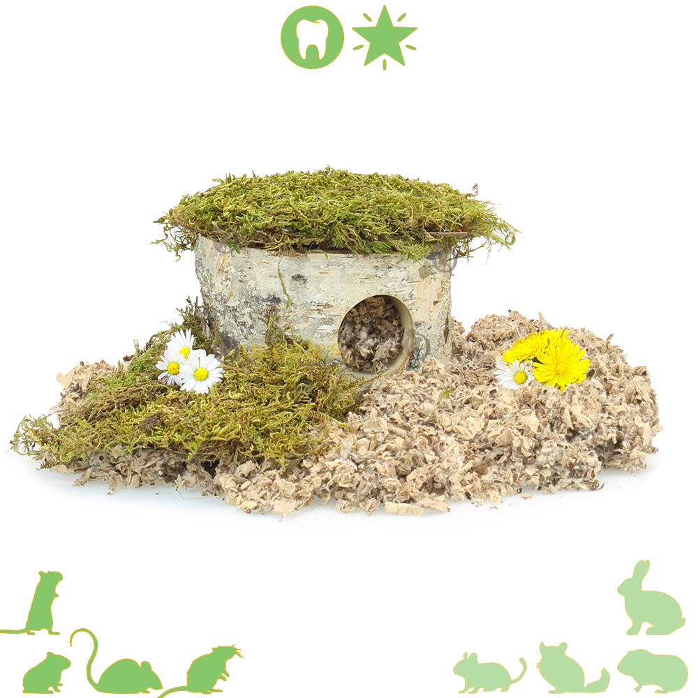 Berkengrot – Natuurlijke verstopplek voor Gerbils en Hamsters