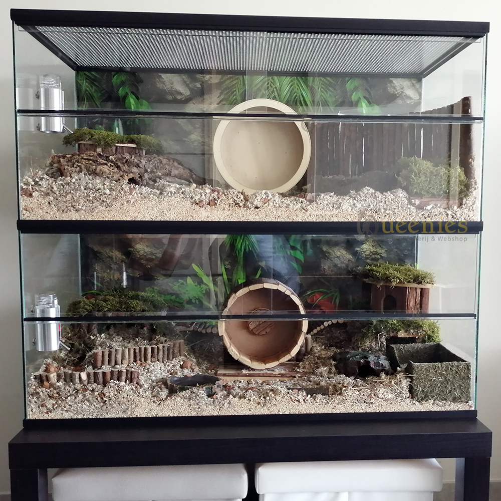 Hamsterkooi met schuifruiten zonder plateaus - Een Terrarium voor Dwerghamsters 