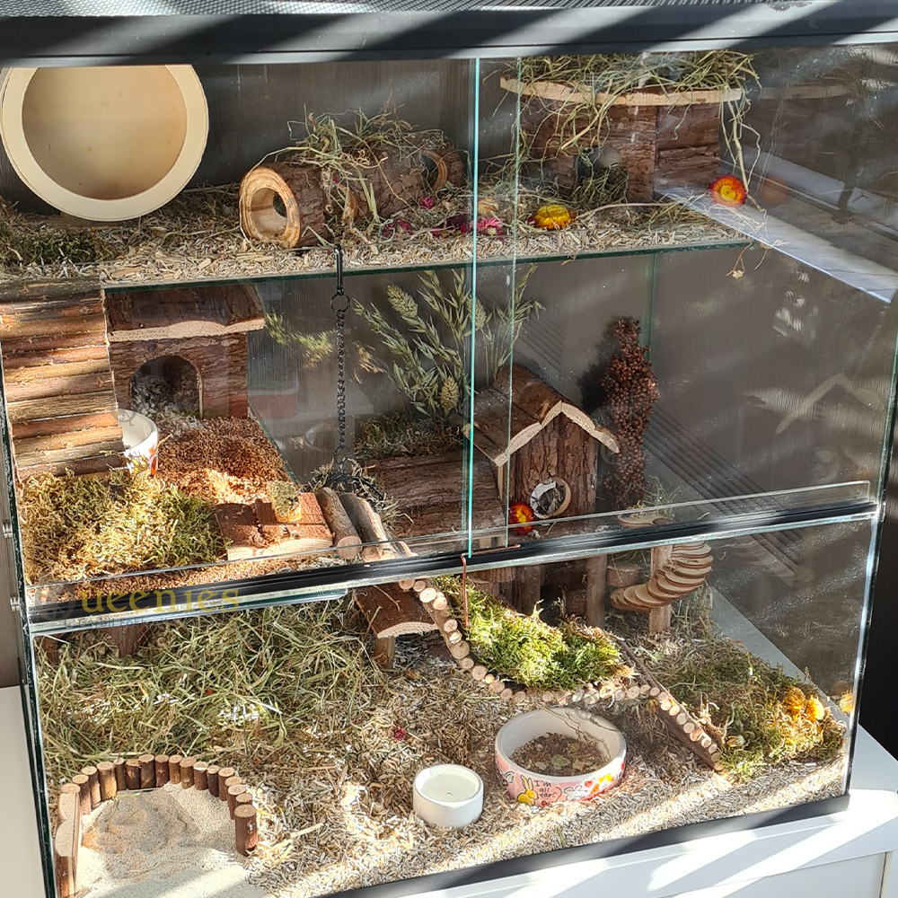 Verhoogd Terrarium