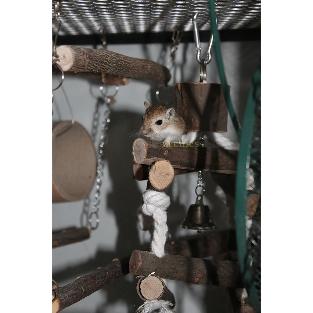 Klimrek van touw - Houtje Touwtje Toren 