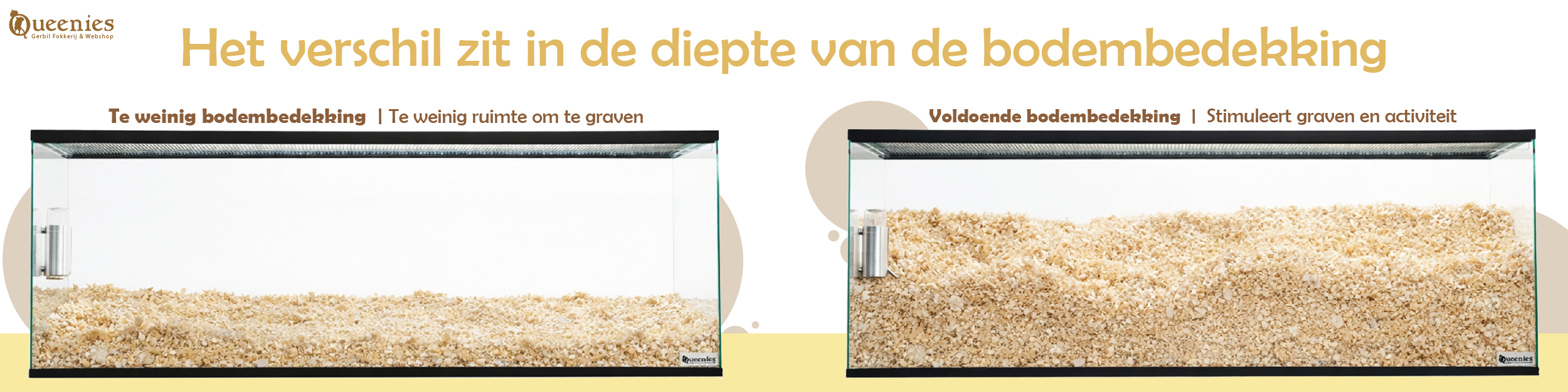 Bodembedekking voor Hamsters