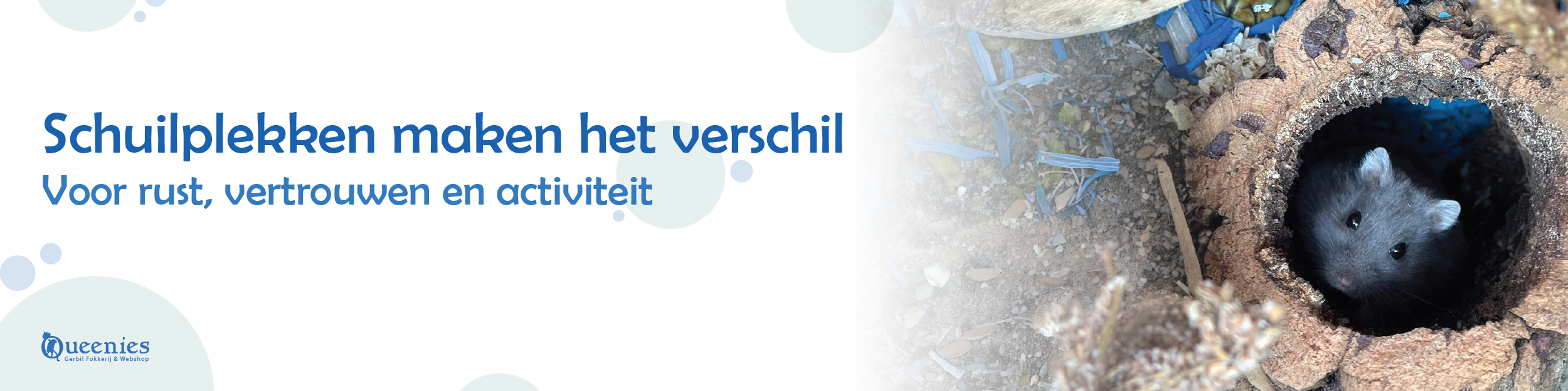 Huisjes voor Hamsters