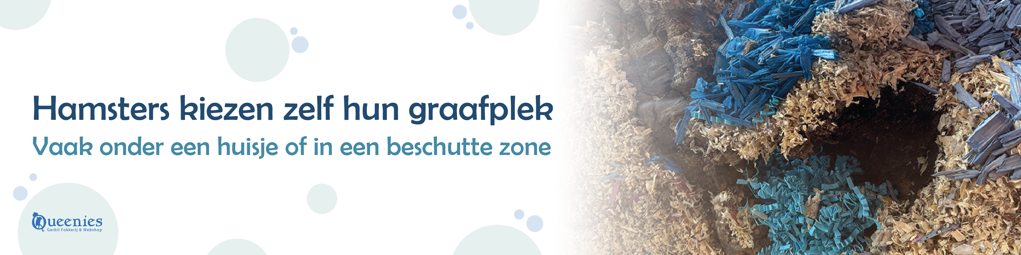 Veilige knaagdier huisjes van hout