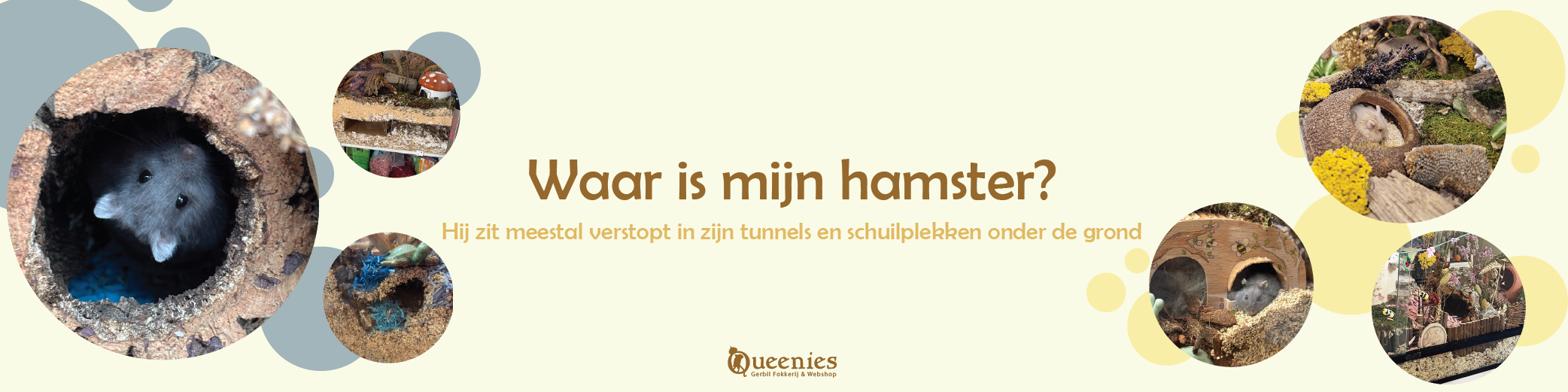 Alles wat je nodig hebt voor je hamster
