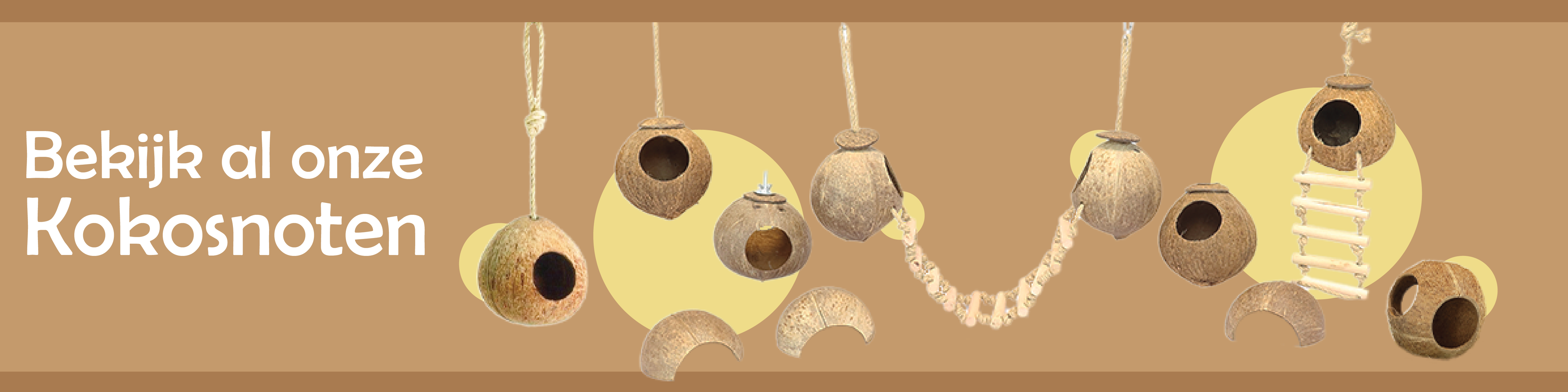 Kokosnoten voor Knaagdieren