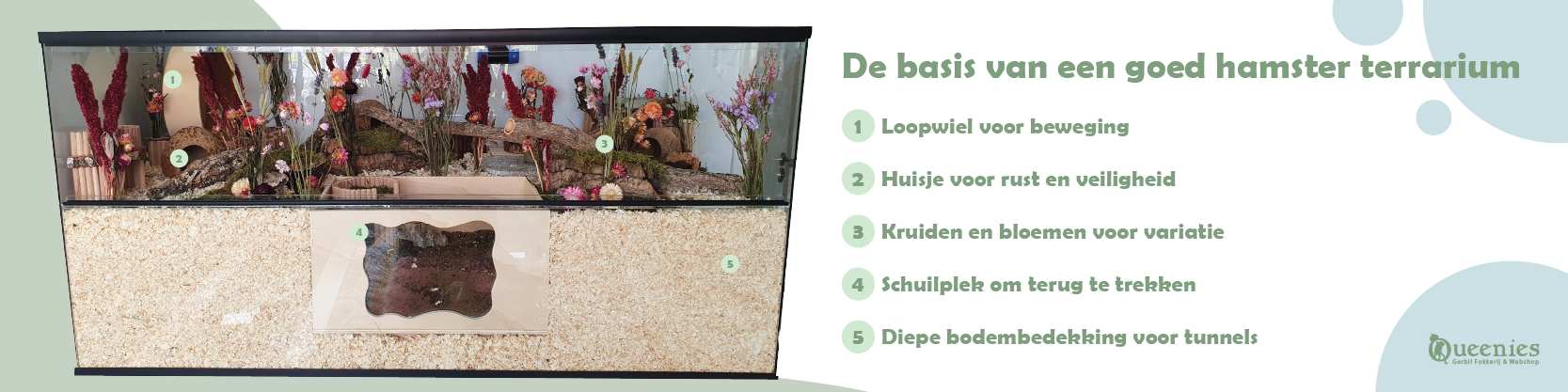 Vind hier alles wat je hamster nodig heeft