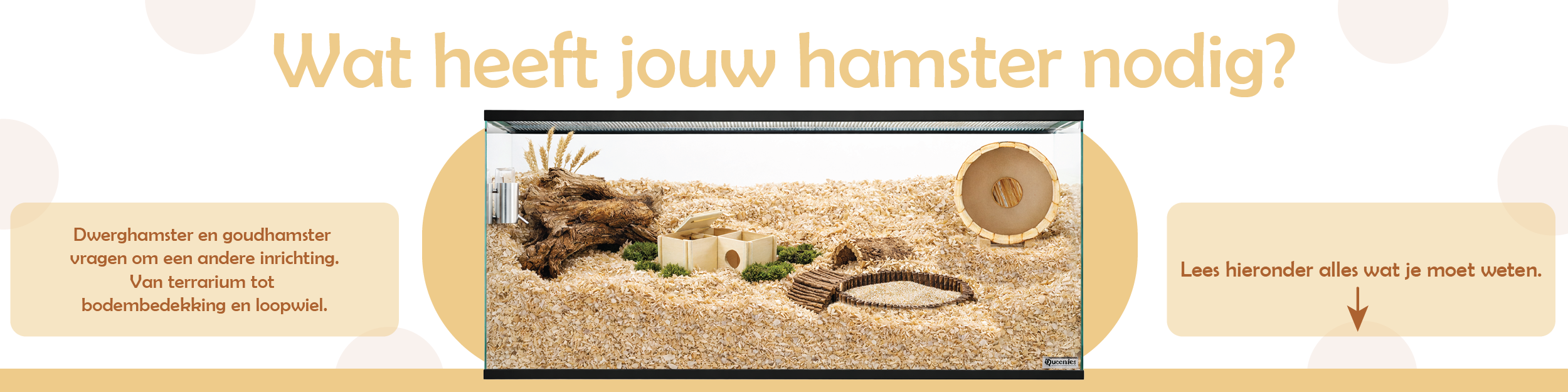 Informatie over hamsters