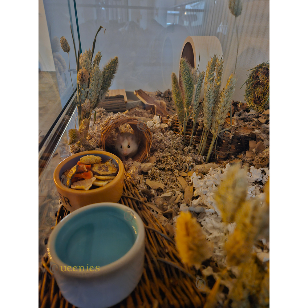 Complete Mix de Luxe voor Gerbils en dwerghamsters