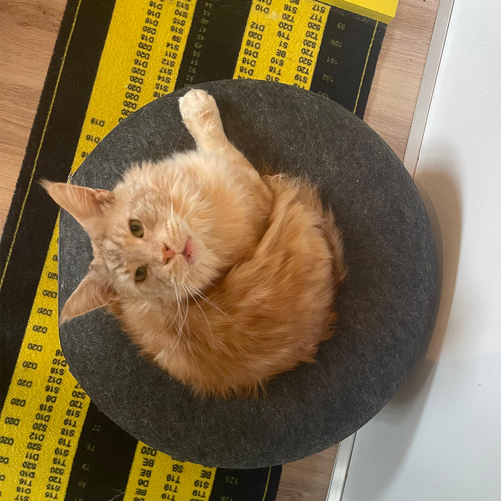 Ruime vilten kattenmand met 1 opening