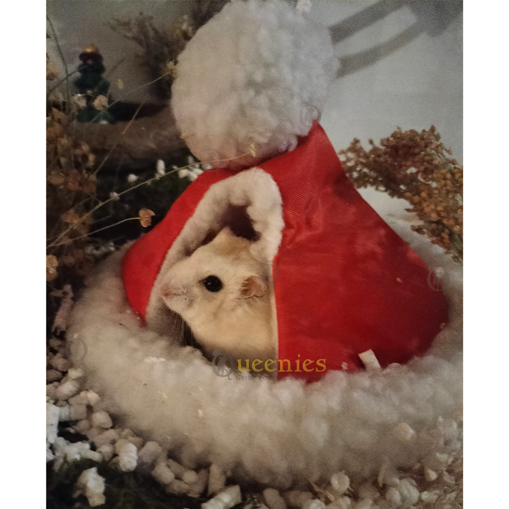 Iglo voor Hamsters