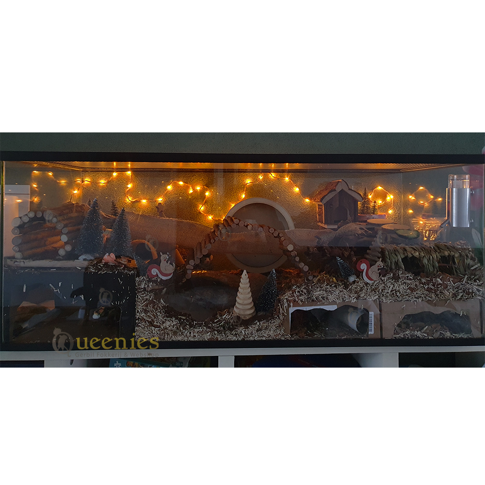 Kerstscape met led verlichting