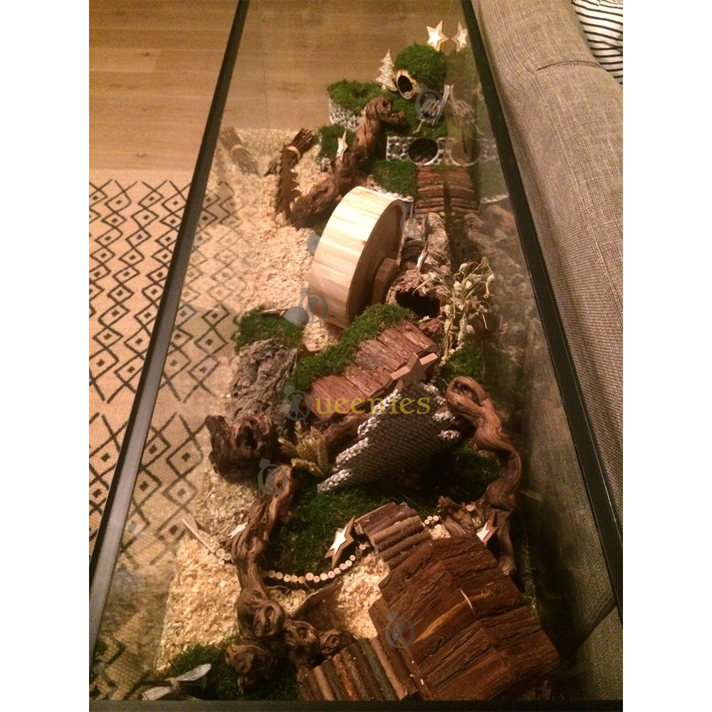 Hamsterscape in Kerstthema