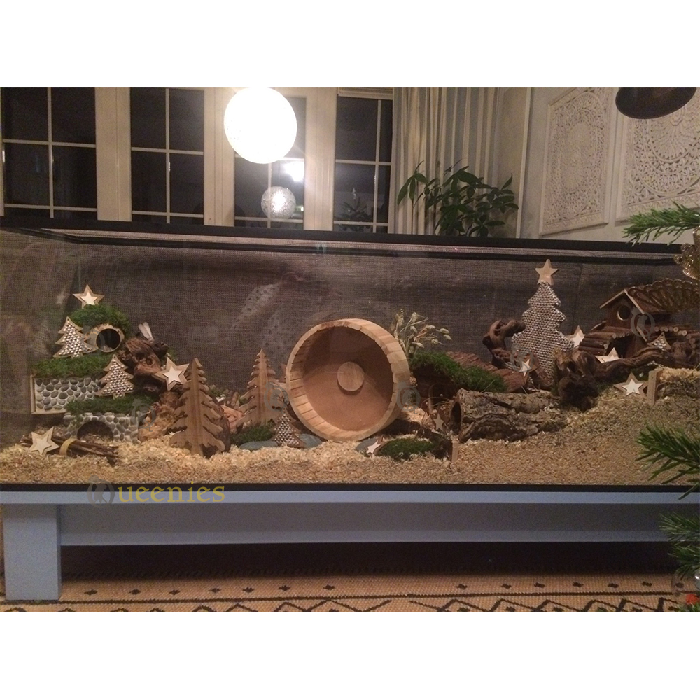 Loopwiel toepassen in Hamsterscaping