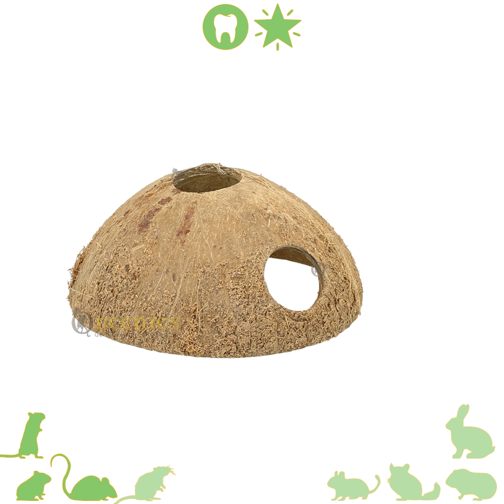 Kokosnoot Holletje met 2 gaten - De perfecte schuilplaats voor kleine Knaagdieren 