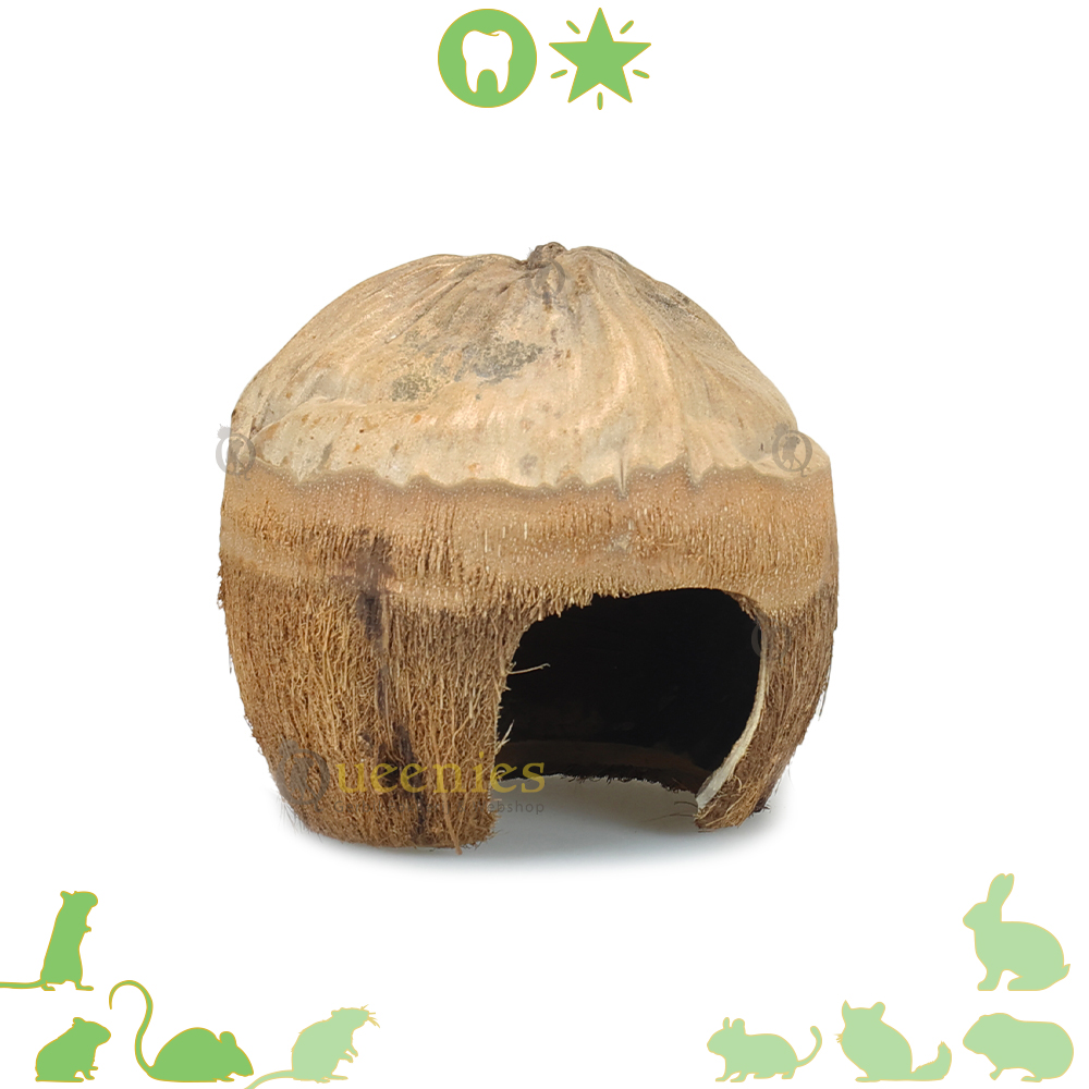 Kokosnoot hut – Natuurlijk Knaagdieren huisje
