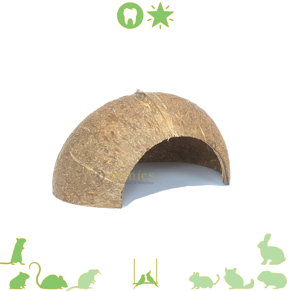 Kokosnoten Holletje als schuilplek voor Knaagdieren