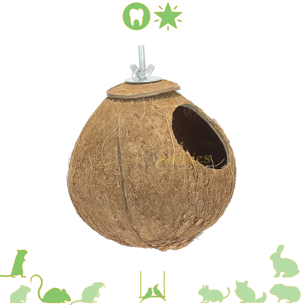 Kokosnoot huis voor Knaagdieren