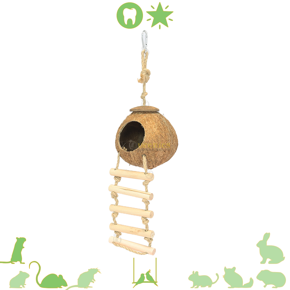 Kokosnoot huis met ladder - Kokosnoten en Gerbils