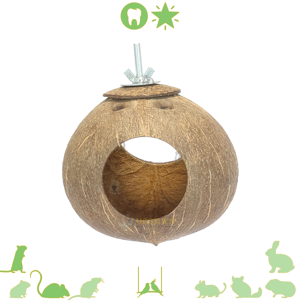 Hangende Kokosnoot met 2 gaten - Schuil en speelplek