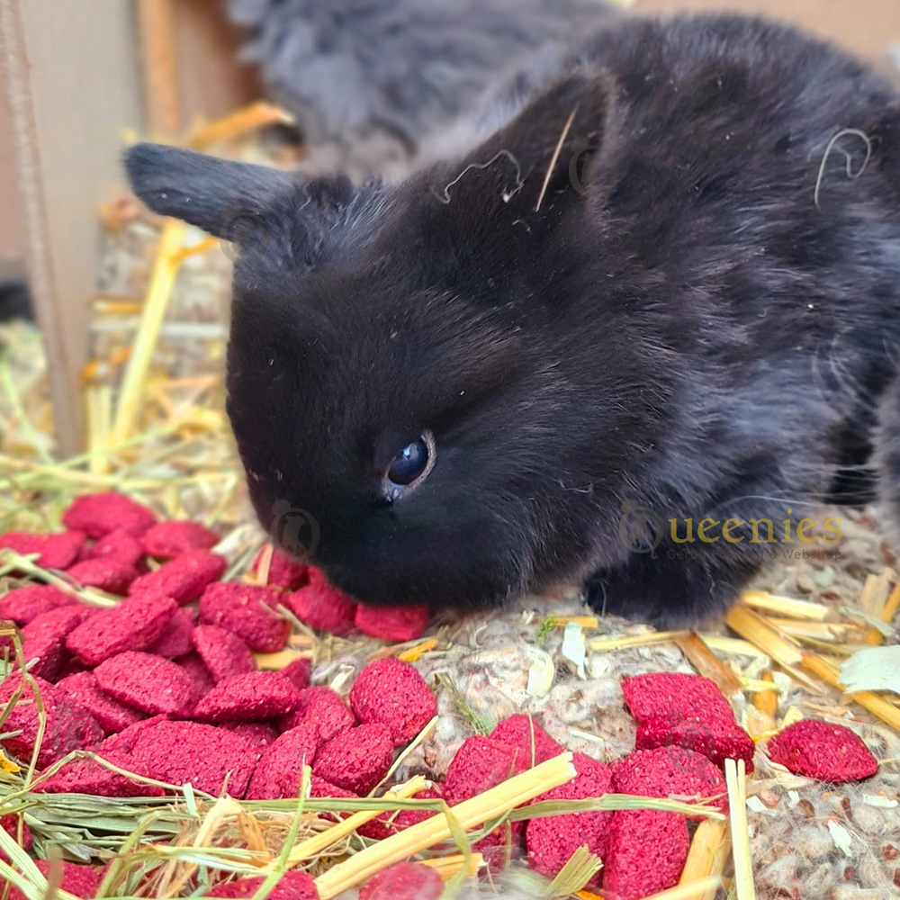 Rode Bieten Kussentjes
