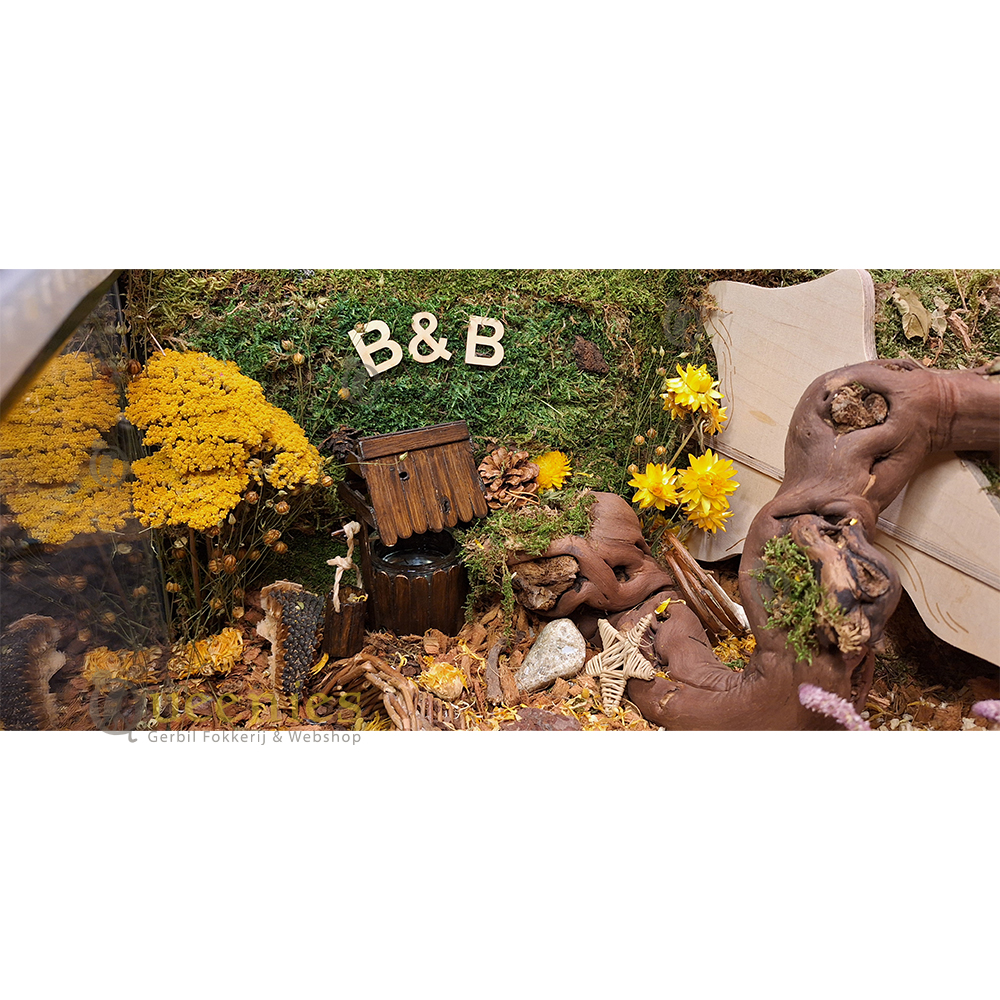 DIY Wensputje Hamster - DIY knutsel project voor kleine Knaagdieren