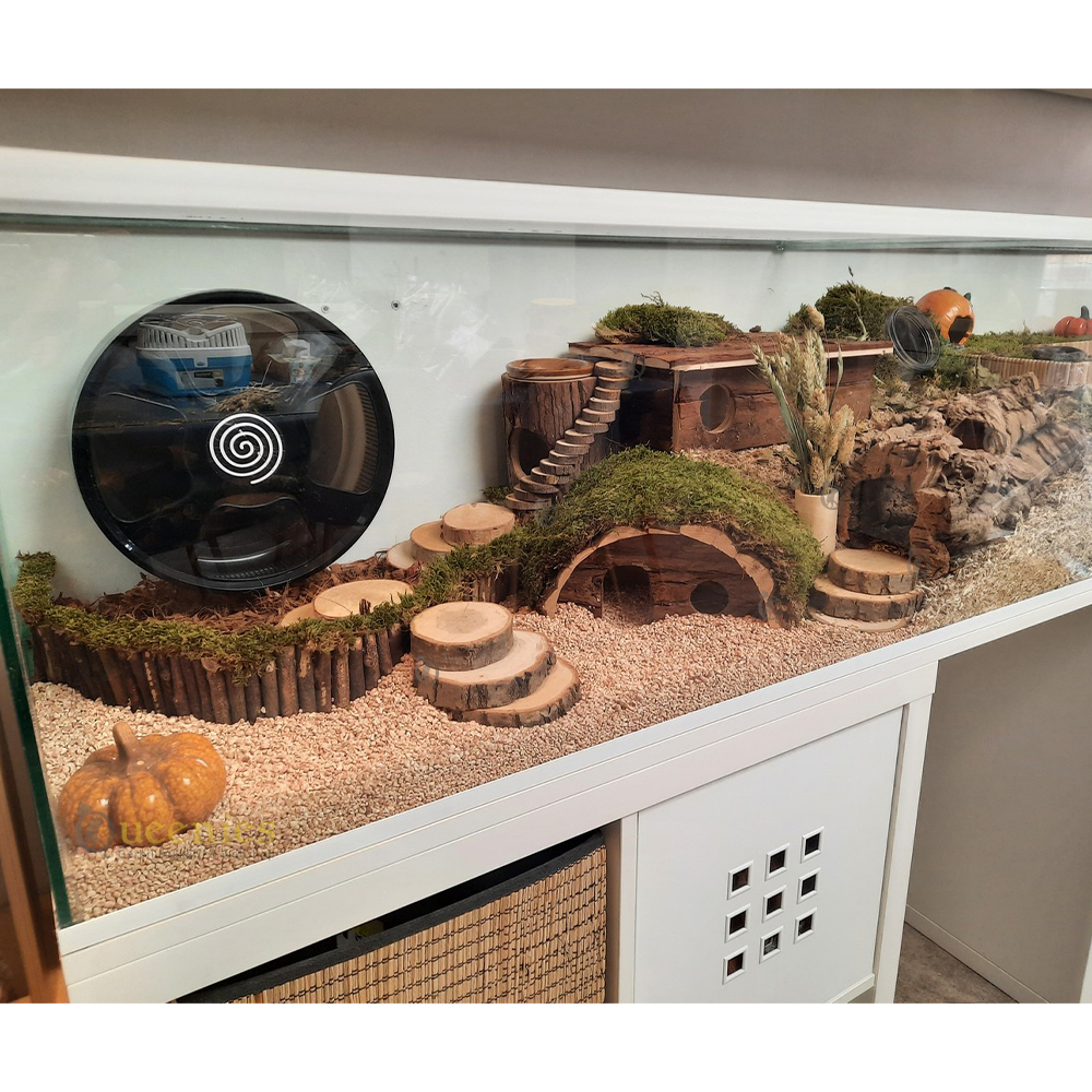 Trixie Buigzame ladder 55 cm - Houten Wilgenladder voor Knaagdieren