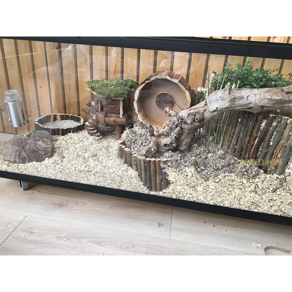 Wilgenbrug S - Hamsterscapings benodigdheden voor knaagdieren