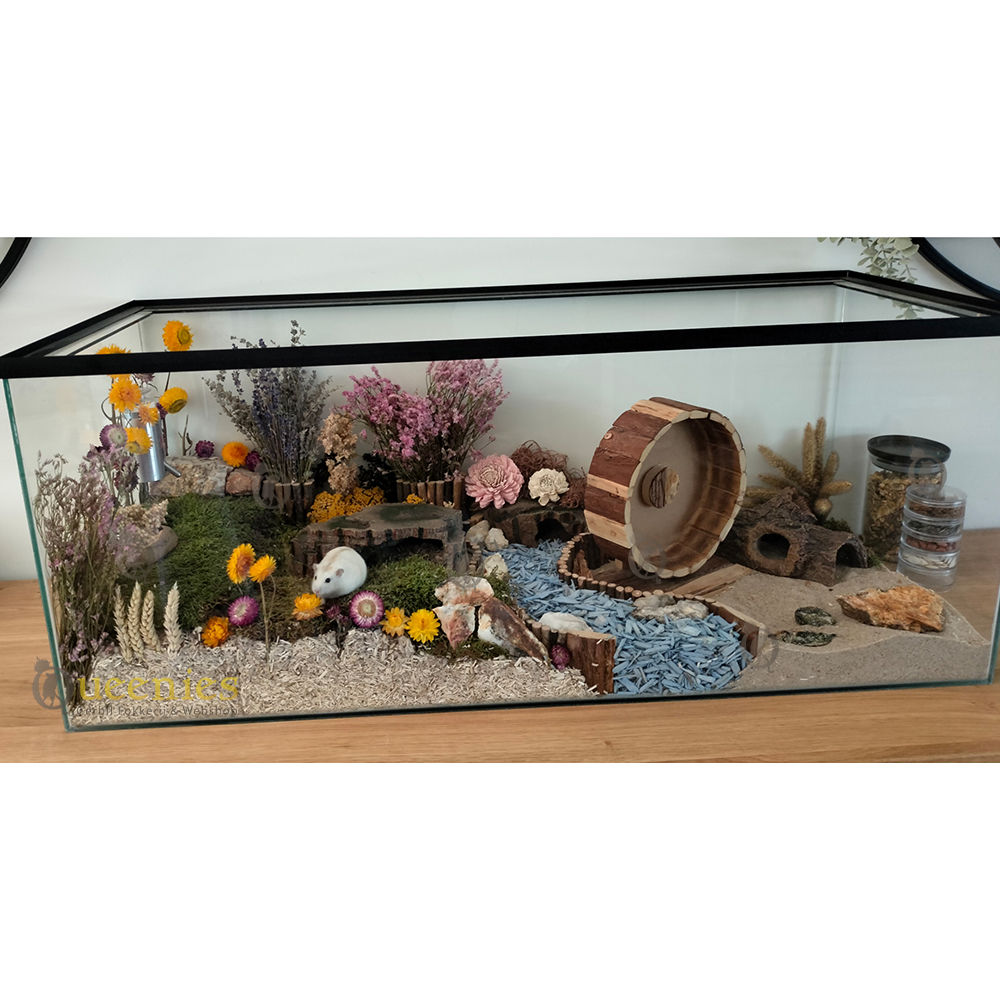 Loopwielen voor Knaagdieren