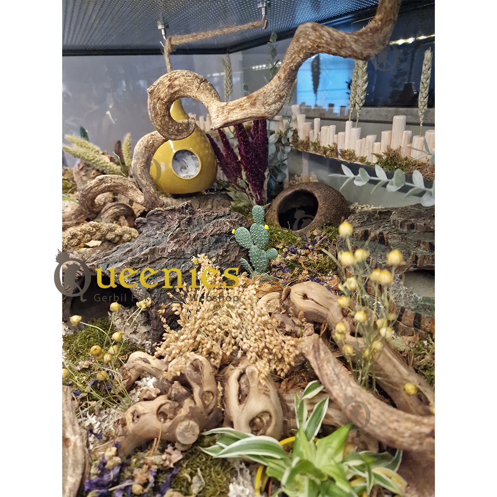 Hamster Hut - Decoratieve Noot