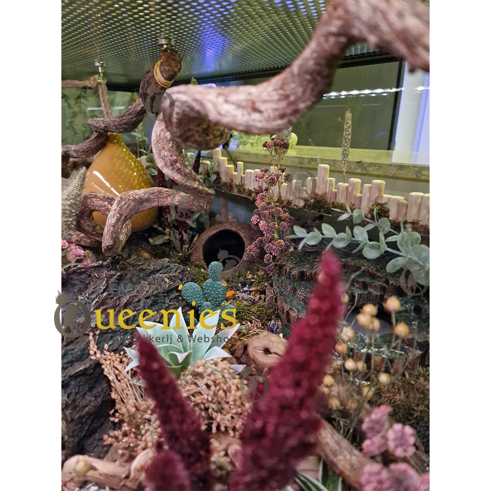 Hoek Rots met Schuilplaats