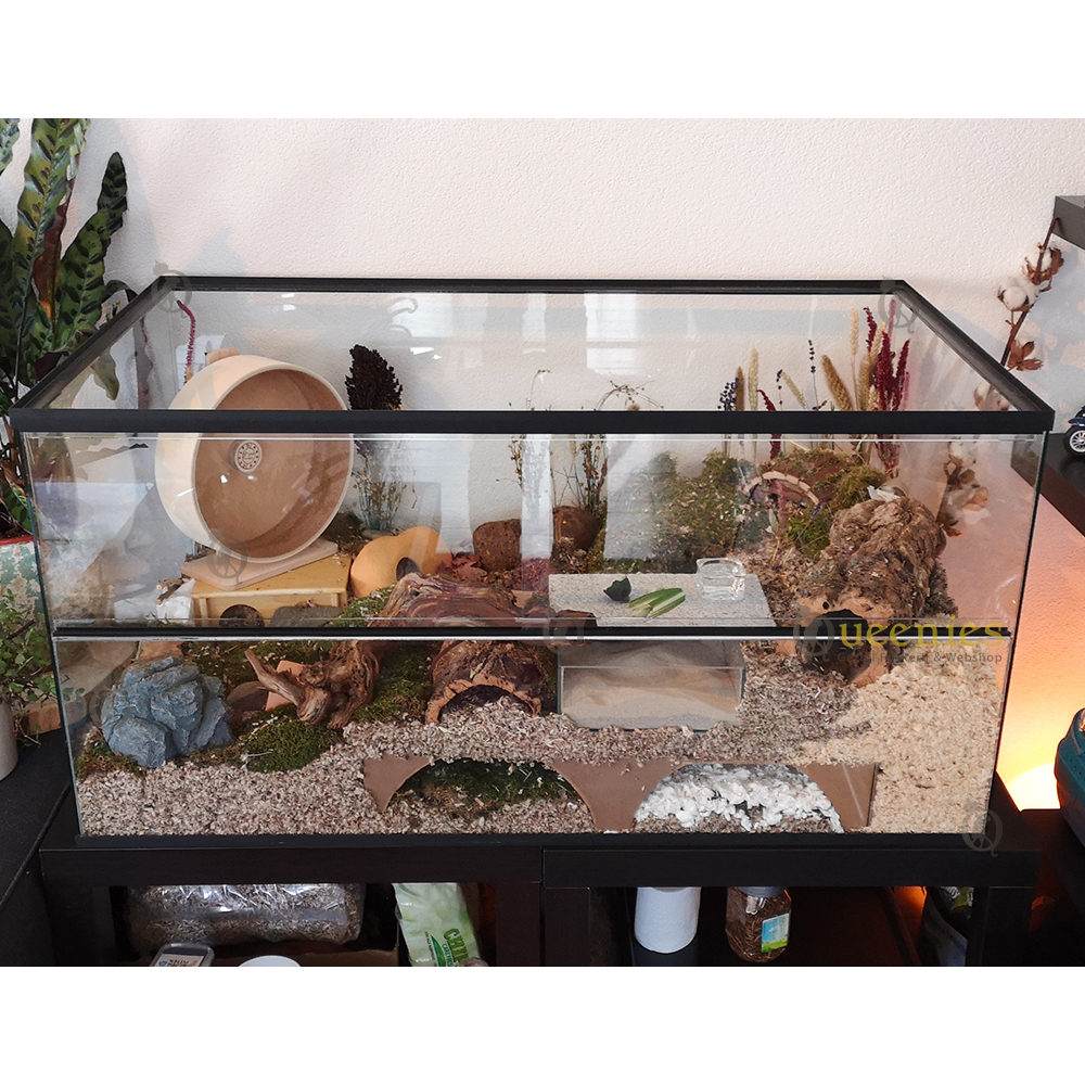 Hamsterkooi met schuifruiten zonder plateaus