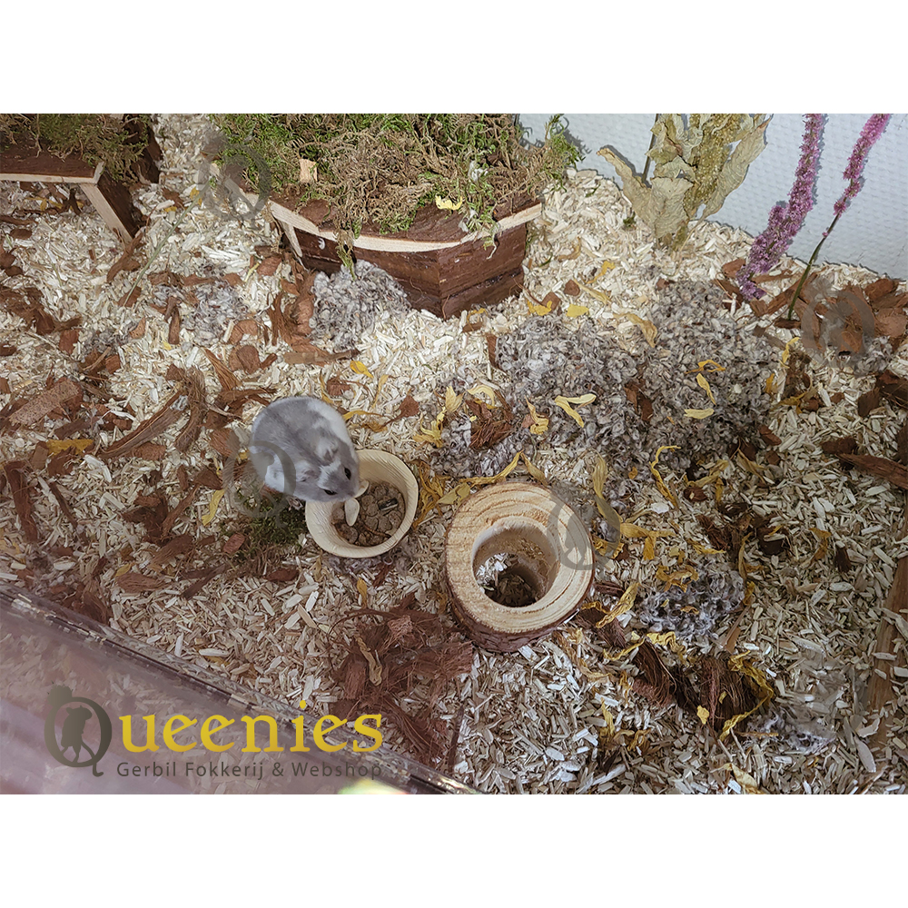 Hoekhuis Jesper klein 21 cm - Mooi hoekhuis met dakterras