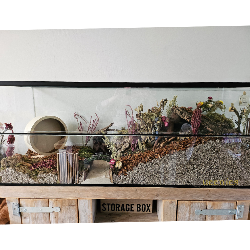 Knaagdier Loopmolen 20 cm