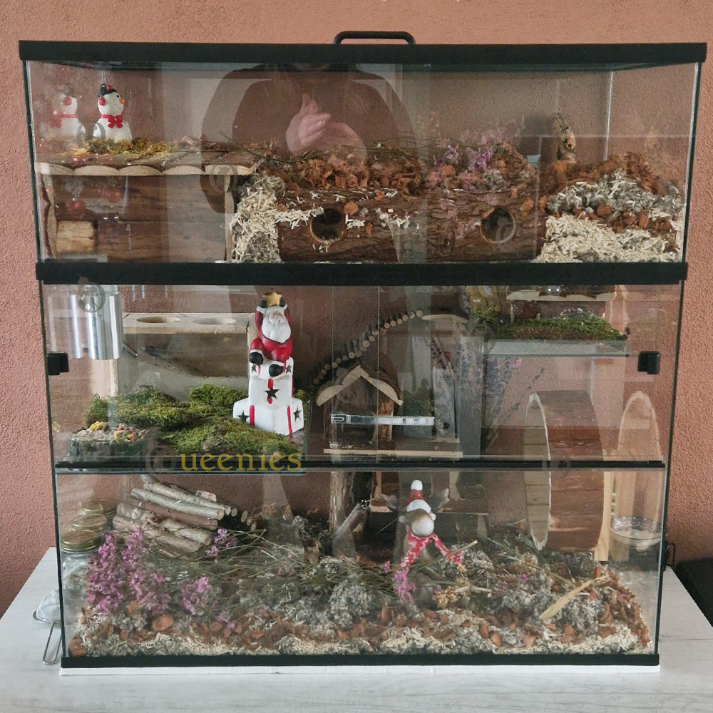 Terrarium en Gerbilarium
