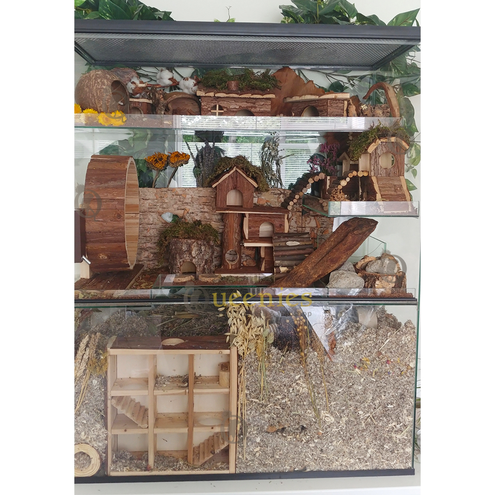 Doolhof Toren - Een geweldige Labyrinth