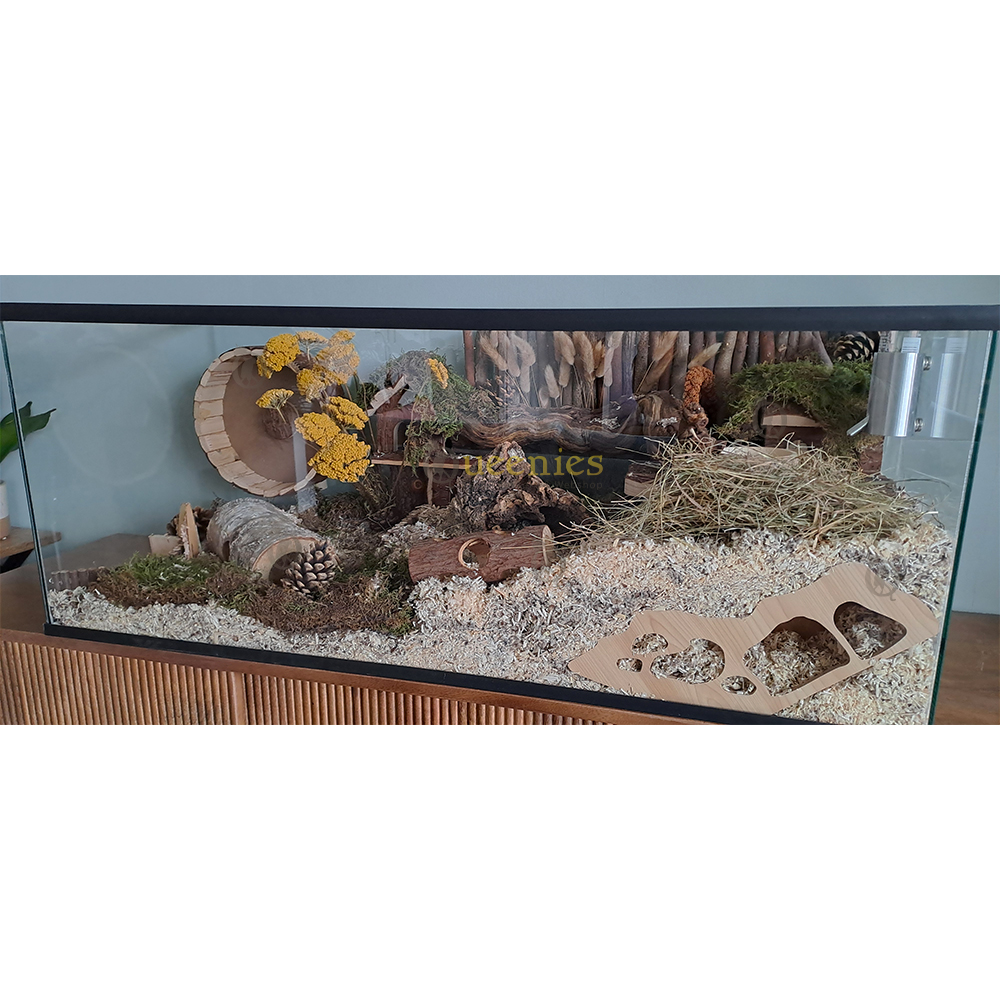 Terrarium 100x40x40