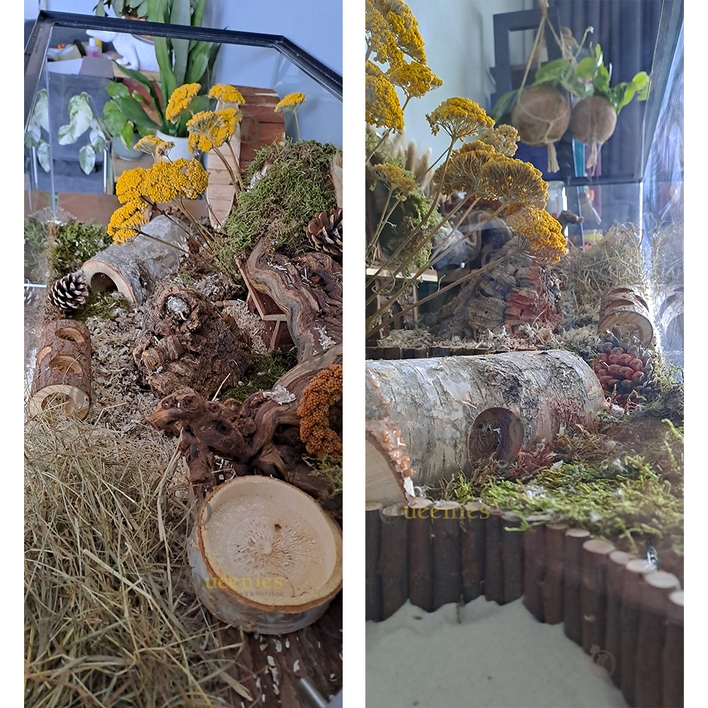Planten voor in Hamsterscape