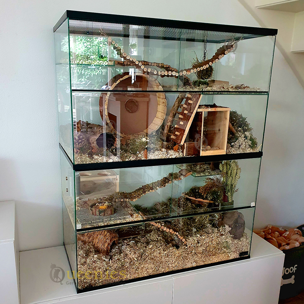Terrarium met houten producten