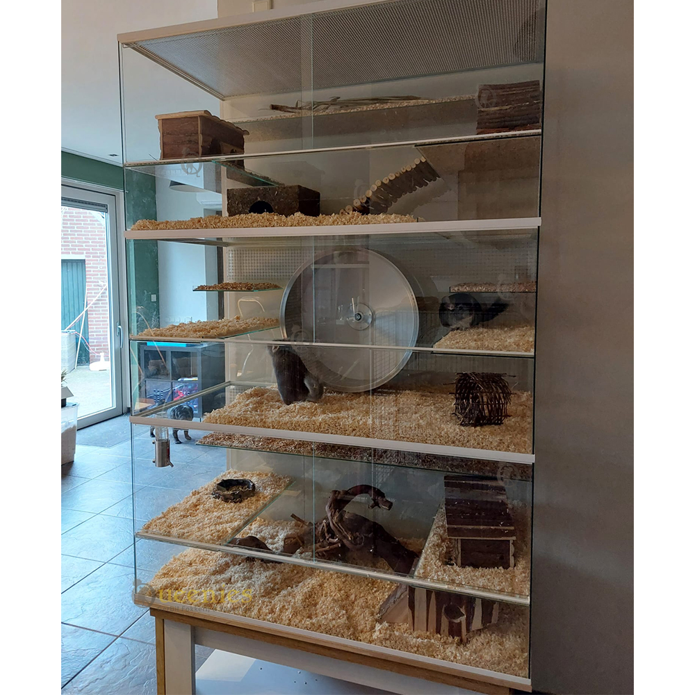 Wijnrank gezandstraald,XL