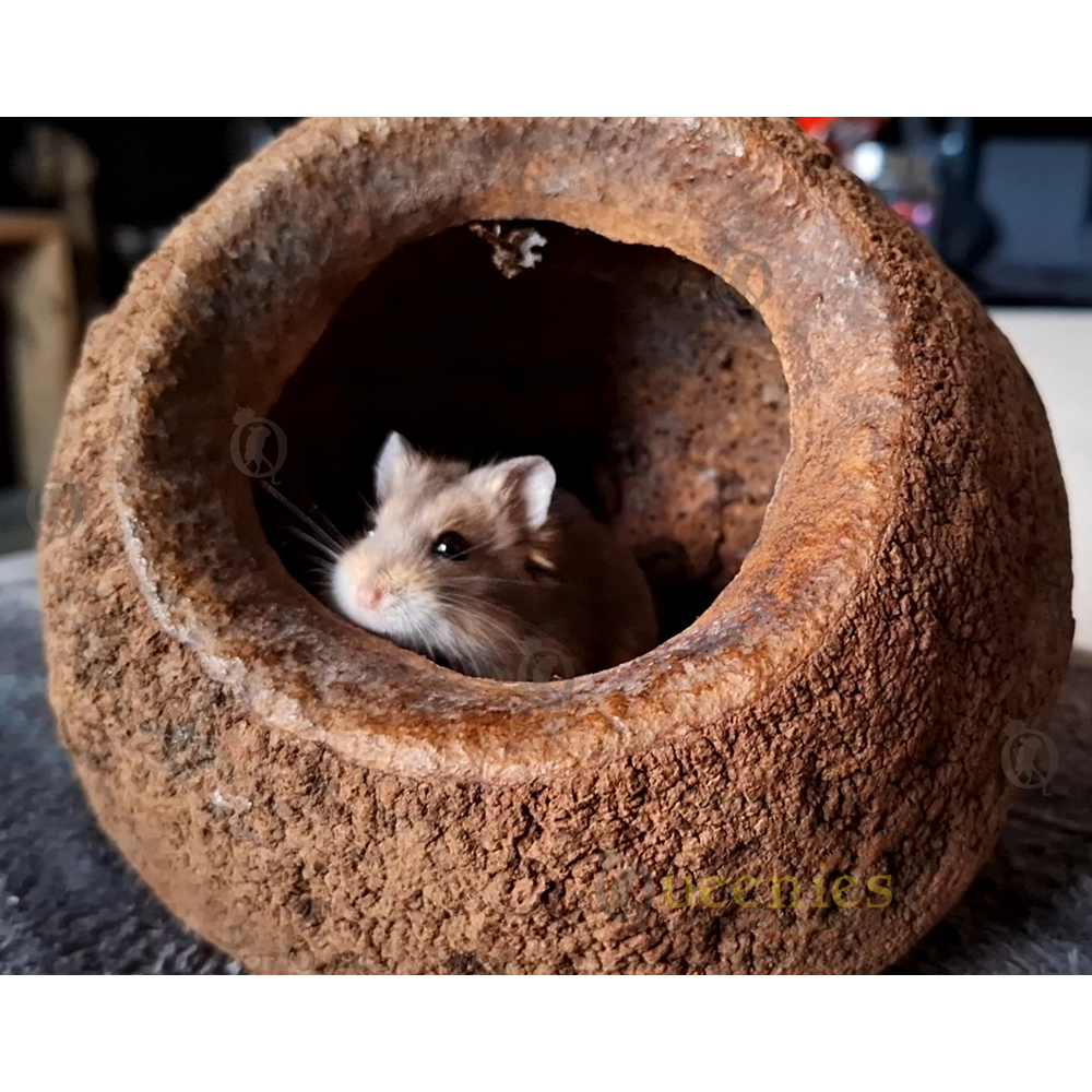 Hamsterscaping producten